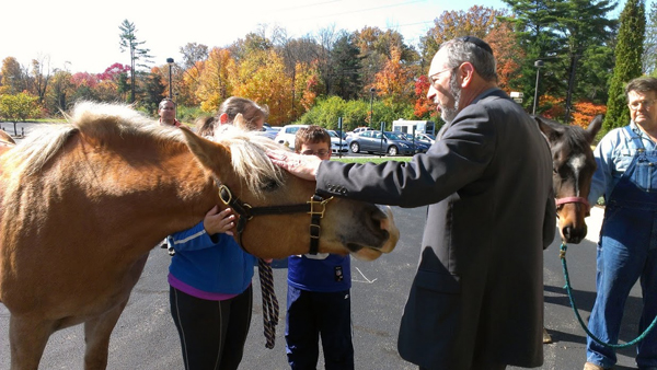 Rabbi Barnard blesses a horse.