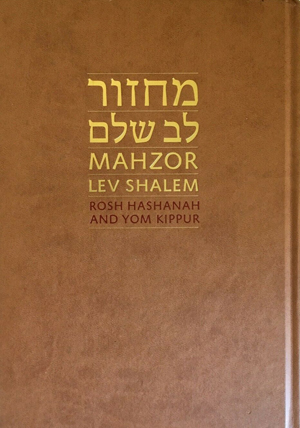 Mahzor Lev Shalem for Rosh Hashanah and Yom Kippur.